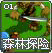 Forest Quest 1